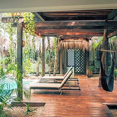 Orchid House Jungle Hotel