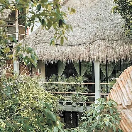 Orchid House Jungle 5* Tulum