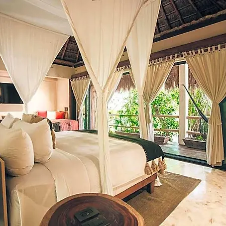 Hotel Orchid House Jungle