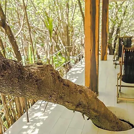 Sunset House Tulum Hotel 2*
