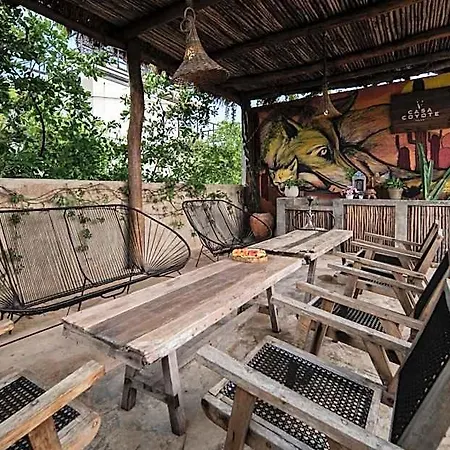 Casa Coyote 3*