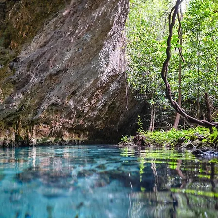Treehouse H2ojos Lodge Tulum