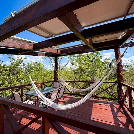 Treehouse H2ojos