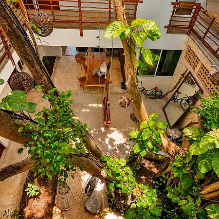 Kante - Downtown Hotel