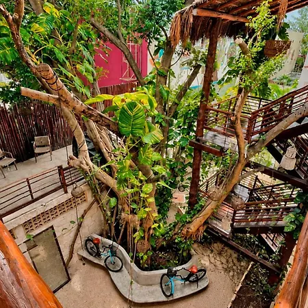 Kante - Downtown Hotel 4*