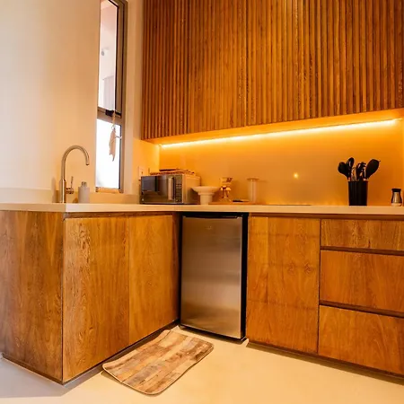 Lavish New Studio-resort Style Complex Apartment Tulum
