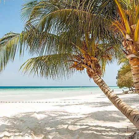 Blanco Adults Only 3* Tulum