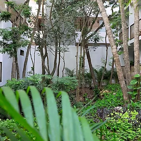 Blanco Adults Only 3* Tulum