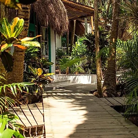 Cormoran & Cenote Hotel