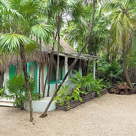 Cormoran & Cenote Hotel