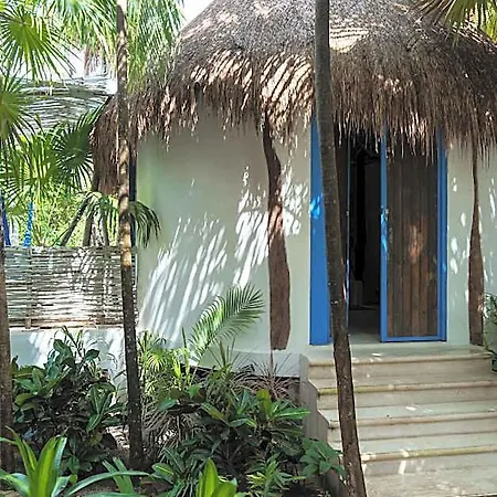 Cormoran & Cenote Tulum