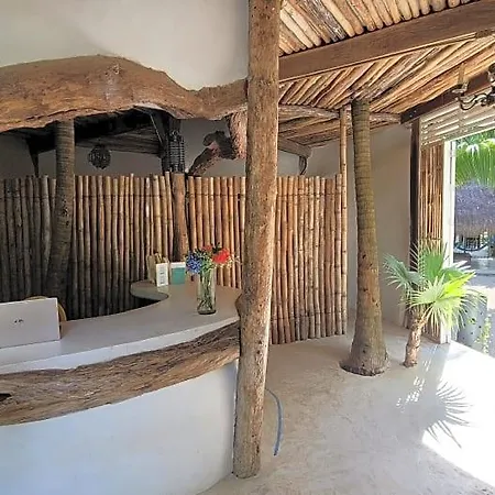 Cormoran & Cenote
