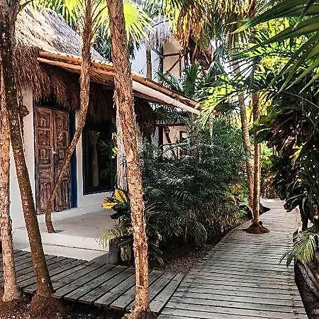 Cormoran & Cenote Hotel Tulum