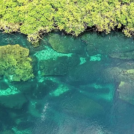 Cormoran & Cenote