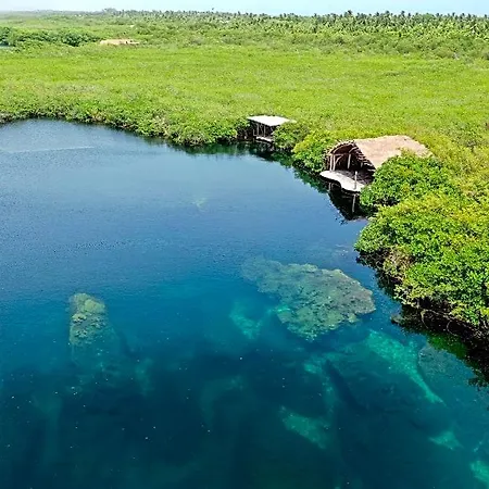 Hotel Cormoran & Cenote Tulum