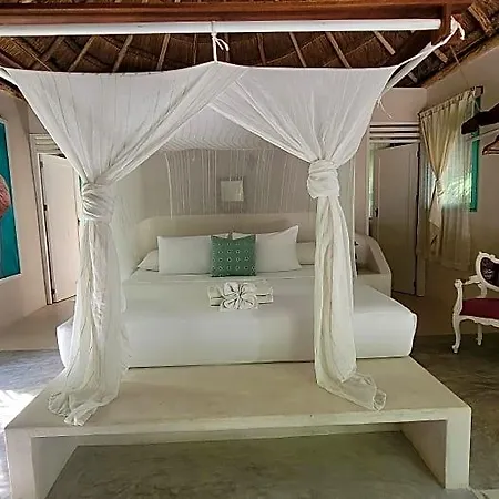 Cormoran & Cenote Hotel