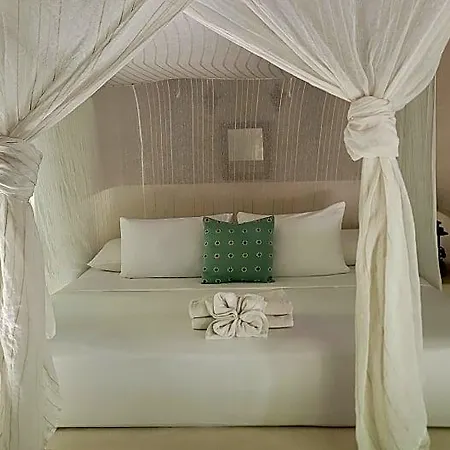 Cormoran & Cenote Hotel 3*