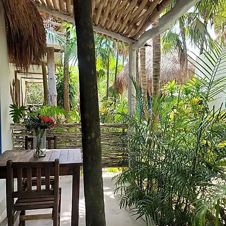 Hotel Cormoran & Cenote 3*
