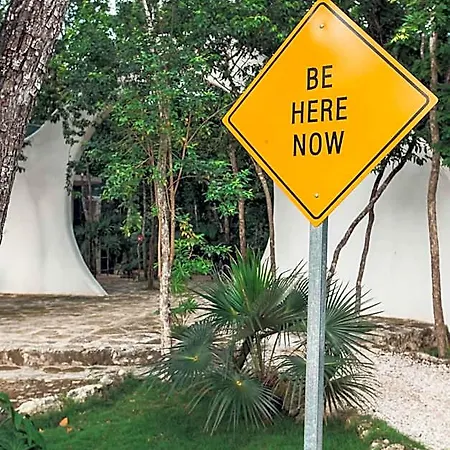 Holistika Hotel Tulum