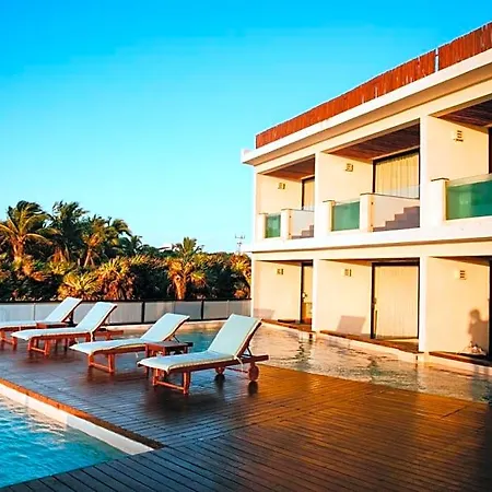 O' Riviera Maya (adults Only) Hotel
