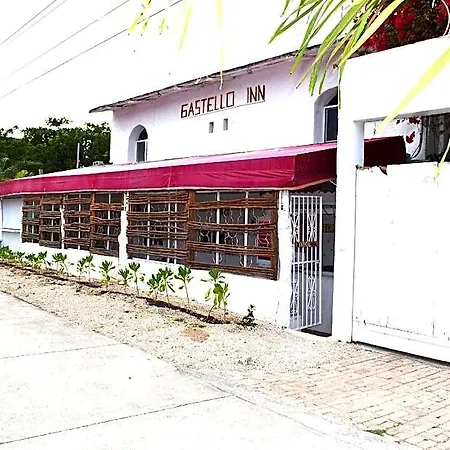Lobo Tulum