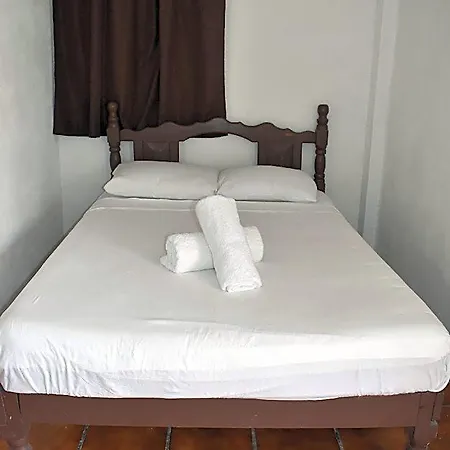 Lobo Tulum