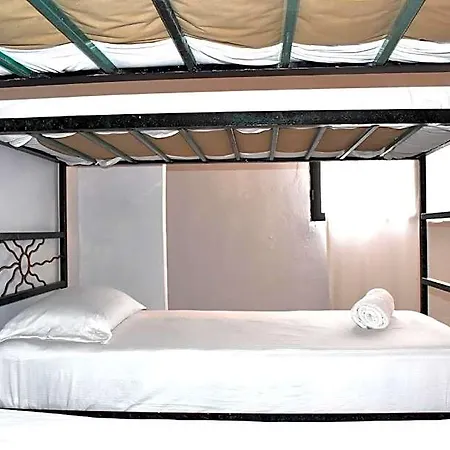 Bed & Breakfast Lobo 2*
