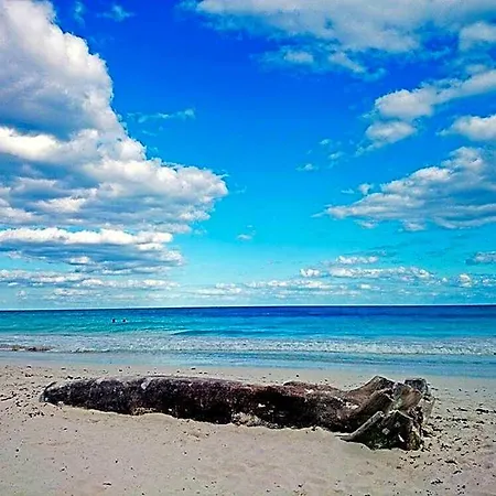 Alaya Beachfront Hotel Tulum