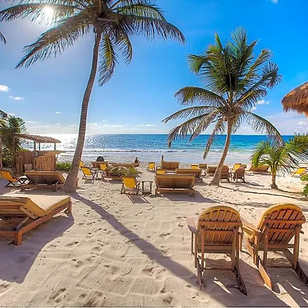 Alaya Beachfront