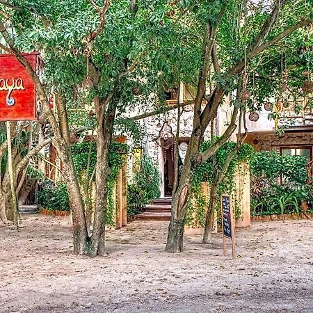 Alaya Beachfront Hotel 4*