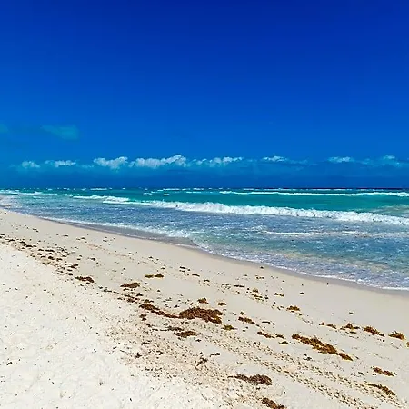 Casa Ganesh Beachfront 4*