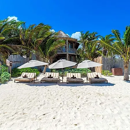 Hotel Casa Ganesh Beachfront