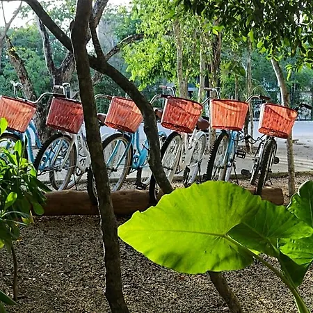 Hotel Niik 4*