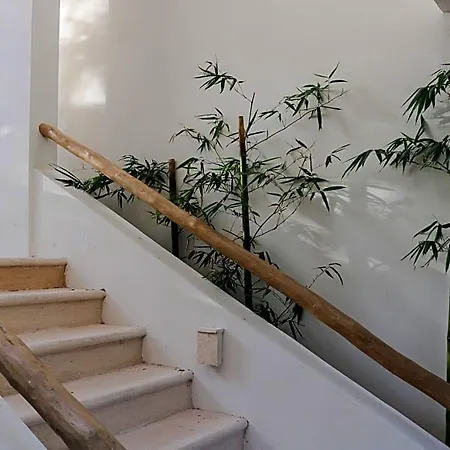 Niik 4*