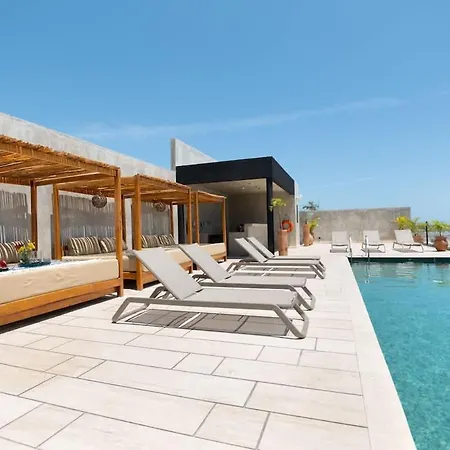 Interior Designers Second Free Bikes Tulum