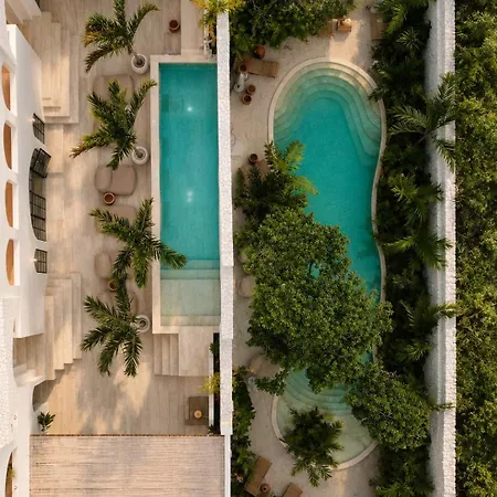 Casa Akubali Private Jungle Sanctuary Estate Tulum