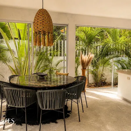 Semilla Oasis Tropical By Waves