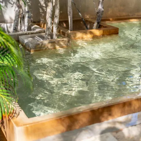 Seremonia With Rooftop Pool & Club Access Villa Tulum