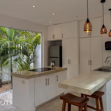 Semilla Oasis Tropical By Waves * Tulum