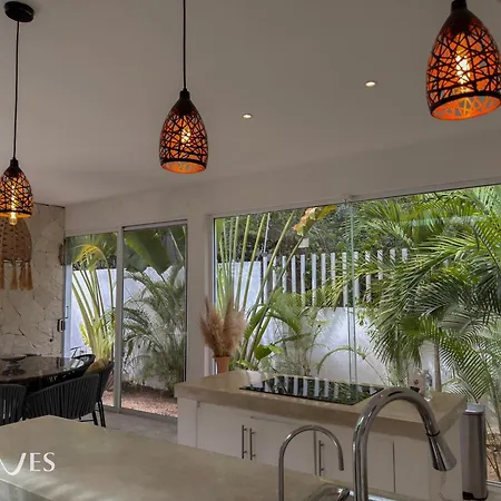 Semilla Oasis Tropical By Waves