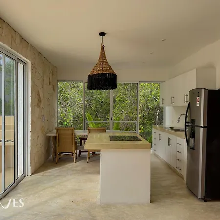 Semilla Oasis Tropical By Waves