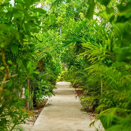 Seremonia With Rooftop Pool & Club Access Villa Tulum