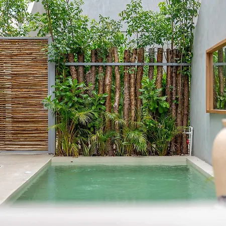 Villa Seremonia With Rooftop Pool & Club Access Tulum