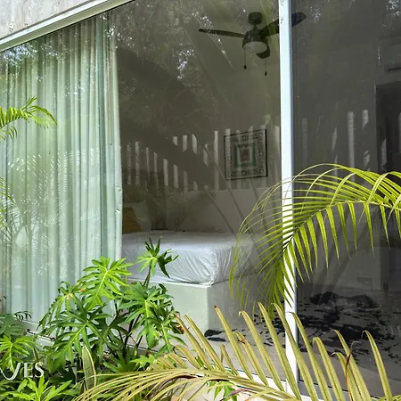 Semilla Oasis Tropical By Waves *
