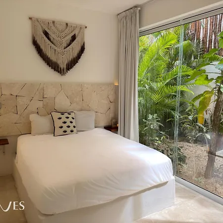 Semilla Oasis Tropical By Waves