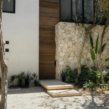 Aion Amazing 5 Bdr 3 Pools And Roof Tulum