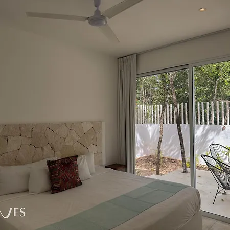 Semilla Oasis Tropical By Waves