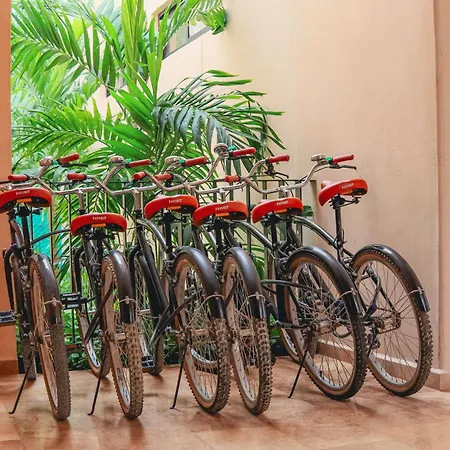 1st Flr Chic Jungle 1br Priv Pool Steam & Gym Tulum