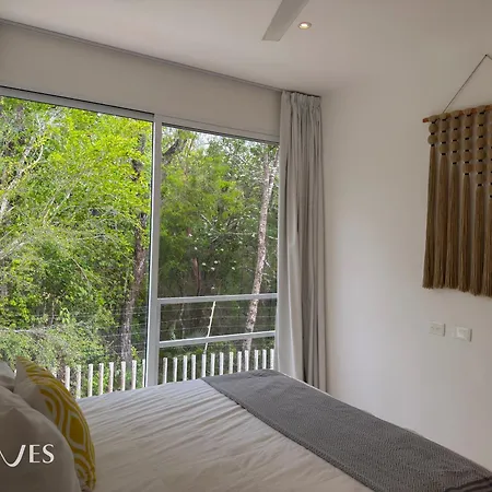 Semilla Oasis Tropical By Waves