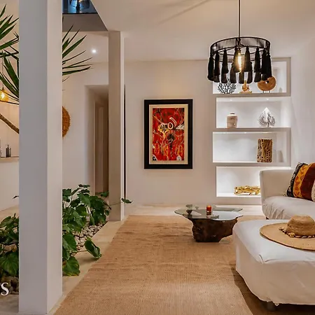 Semilla Oasis Tropical By Waves